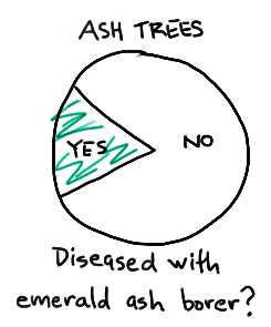 ash tree diagram