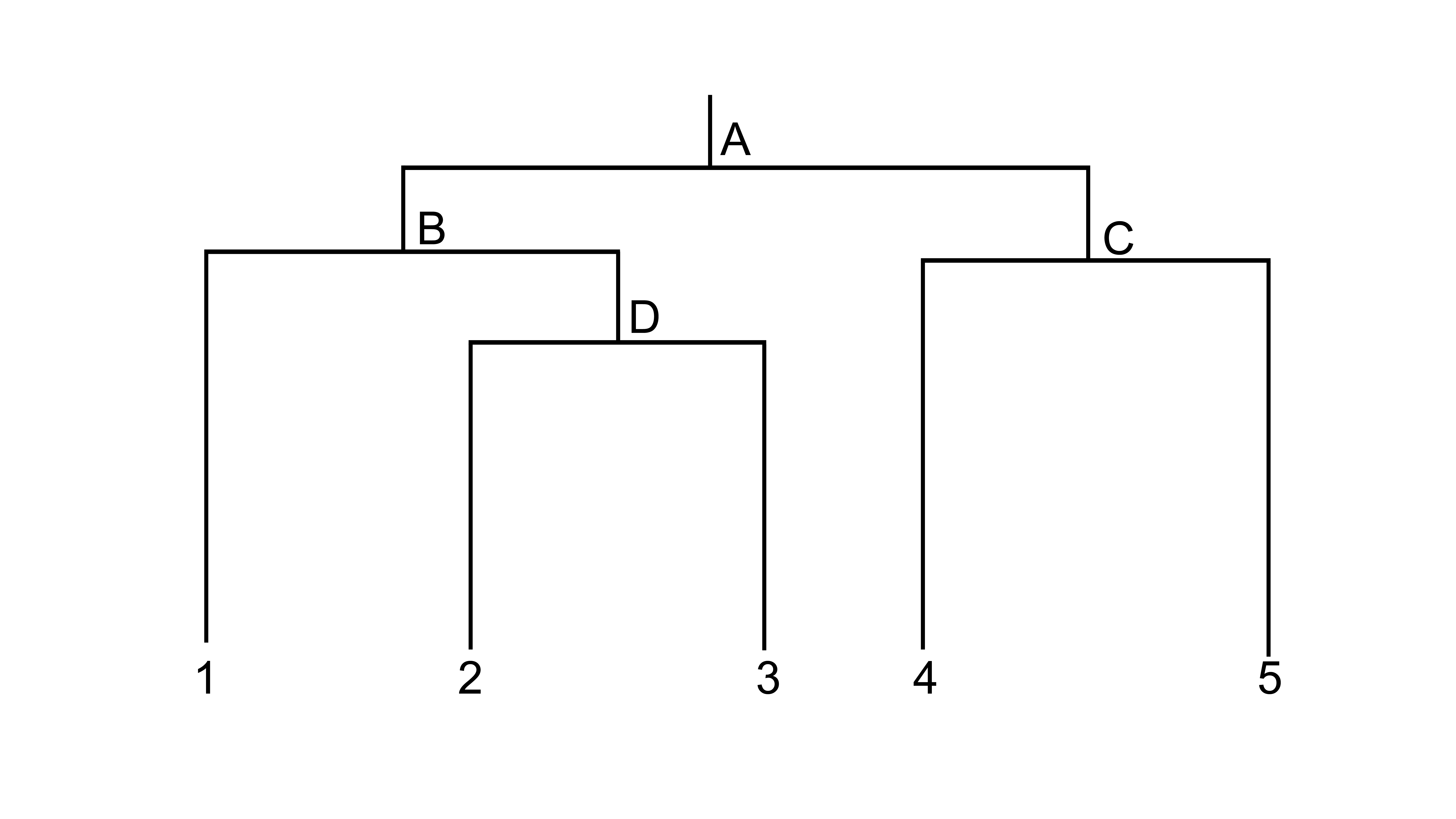 relationship tree for the populations