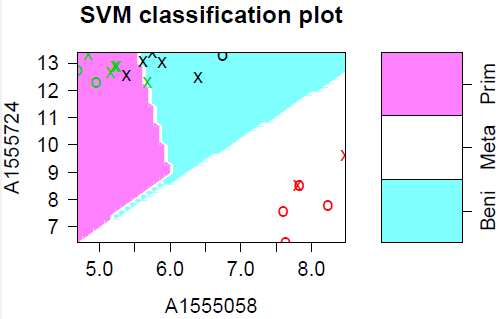 Linear SVM classification plot