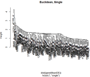 Euclidean, Single