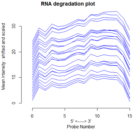 RNA degradation plot
