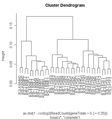 cluster dendogram