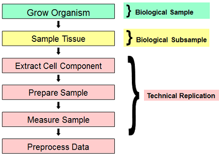 organism to data process
