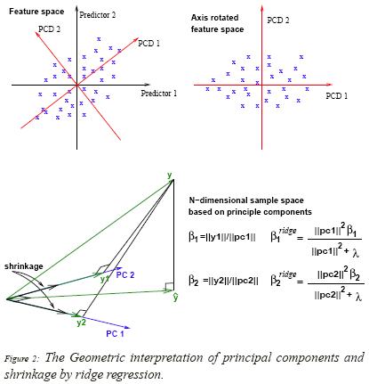 geometric interpretation of principal components and shrinkage by ridge regression. 